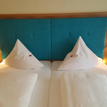 Hotel Cebulj 3*