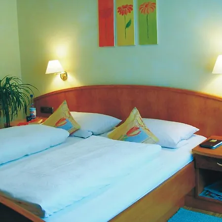 Hotel Cebulj 3*